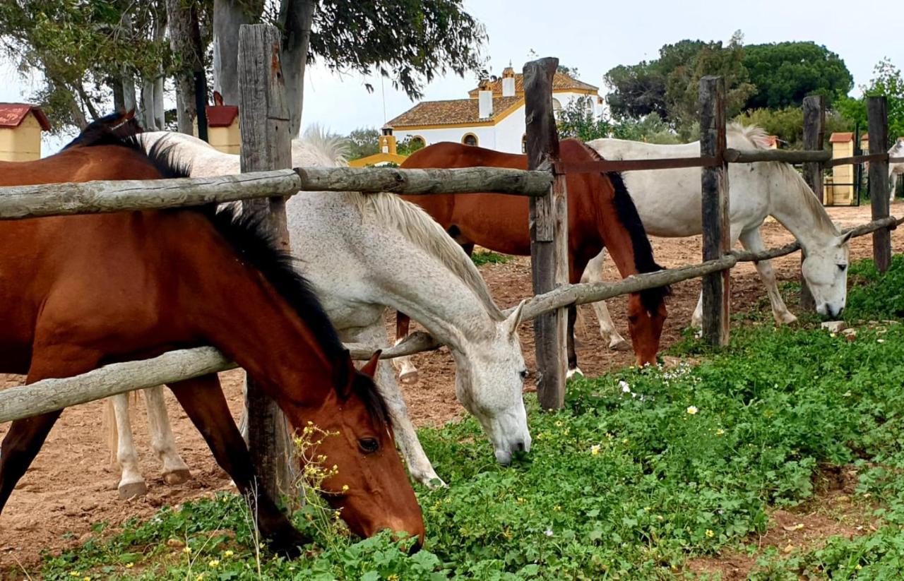 Posada Rural La Corbera Utrera Exteriör bild