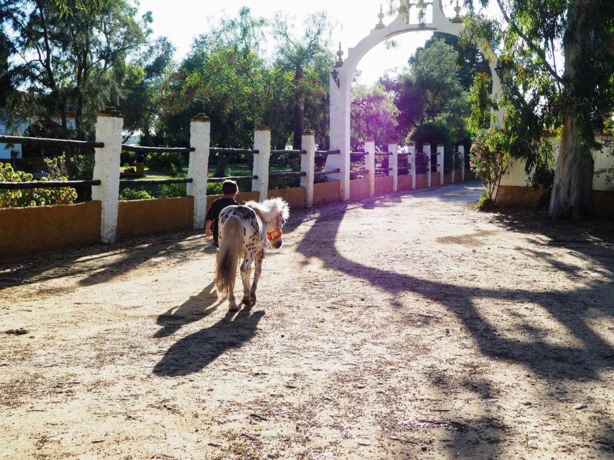 Posada Rural La Corbera Utrera Exteriör bild